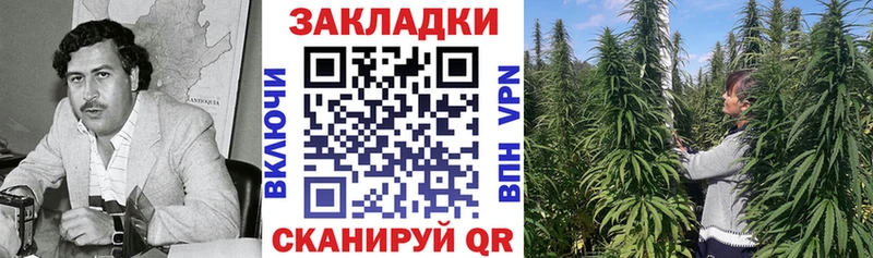 Магазин наркотиков Дятьково A-PVP  Бошки Шишки  Кокаин  Мефедрон  Галлюциногенные грибы  Гашиш 