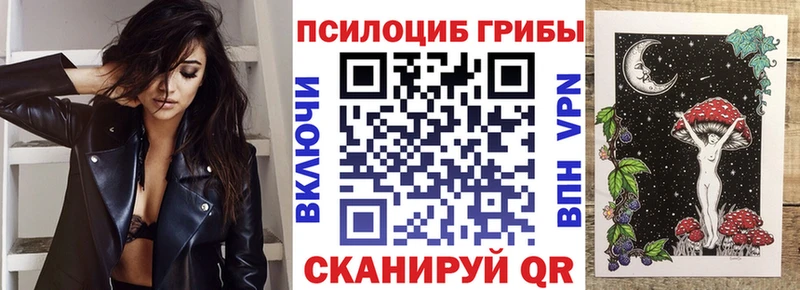 Псилоцибиновые грибы GOLDEN TEACHER  как найти закладки  ссылка на мегу tor  Дятьково 